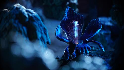The faerie glow in the night comes from the bewitching glamourleaf plant